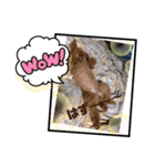 心はひとつ(๑˃̵ᴗ˂̵)（個別スタンプ：17）