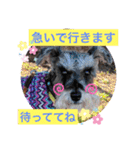 恵ママのゴジ君（個別スタンプ：6）