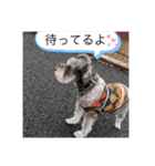 恵ママのゴジ君（個別スタンプ：7）