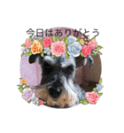 恵ママのゴジ君（個別スタンプ：13）