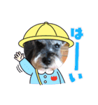 恵ママのゴジ君（個別スタンプ：16）