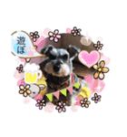 恵ママのゴジ君（個別スタンプ：18）