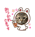 琥珀ブラザーズ（個別スタンプ：1）