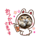 琥珀ブラザーズ（個別スタンプ：16）