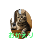 琥珀ブラザーズ（個別スタンプ：19）