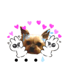 ヨーキー♡ヨーキー♡（個別スタンプ：6）
