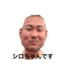 きんもスタンプ（個別スタンプ：35）