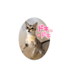 まめ太郎LIFE part2（個別スタンプ：3）
