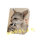まめ太郎LIFE part2（個別スタンプ：9）