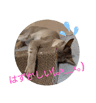 まめ太郎LIFE part2（個別スタンプ：10）