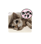 まめ太郎LIFE part2（個別スタンプ：13）