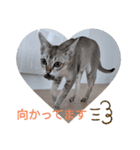 まめ太郎LIFE part2（個別スタンプ：14）