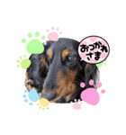 chocoです（個別スタンプ：2）