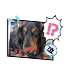 chocoです（個別スタンプ：5）