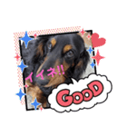 chocoです（個別スタンプ：6）