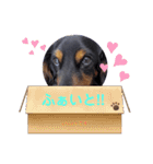 chocoです（個別スタンプ：7）