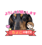 chocoです（個別スタンプ：9）
