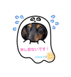 chocoです（個別スタンプ：11）