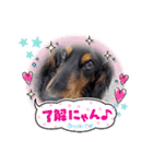 chocoです（個別スタンプ：12）