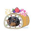 chocoです（個別スタンプ：13）