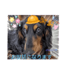 chocoです（個別スタンプ：16）