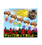 にゃ美さんと仲間たち♡実写猫〜風景（個別スタンプ：34）