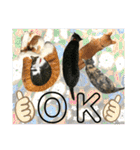 ねねこ猫♡日常ご挨拶… 実写猫と背景〜（個別スタンプ：21）