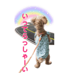 ココちゃんスタンプ（デカい版）（個別スタンプ：1）