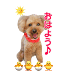 ココちゃんスタンプ（デカい版）（個別スタンプ：8）