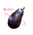 野菜を採ったど（個別スタンプ：1）