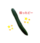 野菜を採ったど（個別スタンプ：2）
