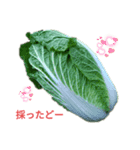 野菜を採ったど（個別スタンプ：3）