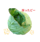 野菜を採ったど（個別スタンプ：4）