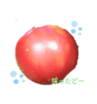 野菜を採ったど（個別スタンプ：7）
