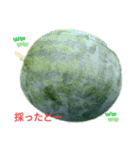 野菜を採ったど（個別スタンプ：8）