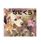 うちの姫ちゃん(犬)スタンプ（個別スタンプ：36）
