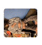 陰キャ大集合 5（個別スタンプ：16）