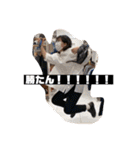 陰キャ大集合 5（個別スタンプ：36）