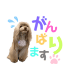 ワンダフルぶぶ（個別スタンプ：3）
