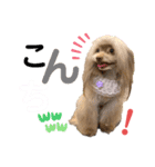 ワンダフルぶぶ（個別スタンプ：4）
