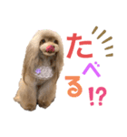ワンダフルぶぶ（個別スタンプ：5）