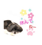 ワンダフルぶぶ（個別スタンプ：7）