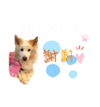 ワンダフルぶぶ（個別スタンプ：8）