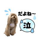 ワンダフルぶぶ（個別スタンプ：9）