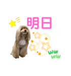 ワンダフルぶぶ（個別スタンプ：10）