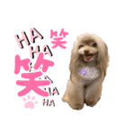 ワンダフルぶぶ（個別スタンプ：12）
