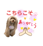 ワンダフルぶぶ（個別スタンプ：13）