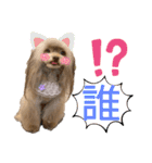ワンダフルぶぶ（個別スタンプ：14）