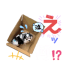 ワンダフルぶぶ（個別スタンプ：15）