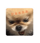 maronさん、だよ。ver.2（個別スタンプ：6）